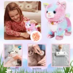 kf-S707ace85c24c4162a800cbcee483cd52P