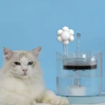 kf-S092f70bd59a24a32b81a0beff2b7111aW