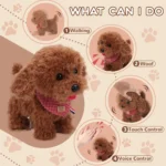 kf-S6ae766b8e048491bb9d026e7003b2c2cz