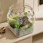 Ultra Clear Round Fish Bowl Plastic Removable Desktop Fish Tank 360-Degree View Desktop Small Aquarium Tabletop Ornament