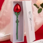 kf-S9af2a73534594ff0acc839809d4f93e6Q