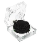 kf-Sfa7db912c7914b80ada6b9b31b81b102Y