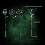 kf-S392334e9e8d14138bd991fa85d36b83cD