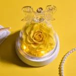 kf-S3de6ea2fd840487b8c09d365ac74992ao