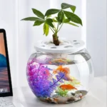 Miniature Landscape Transparent Small Clear Fish Tank Plastic Shatterproof Turtle Aquarium With Lid Goldfish Tank Home Decor