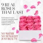 kf-Saf73cab0d4974cc58ddb0ad064261ea7y