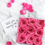 kf-Saf73cab0d4974cc58ddb0ad064261ea7y