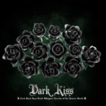 kf-S392334e9e8d14138bd991fa85d36b83cD