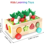 kf-Se4d95a701b0a4368b7b9643b26ac7ce4b