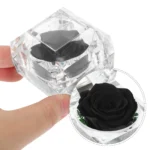 kf-Sfa7db912c7914b80ada6b9b31b81b102Y