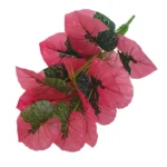 kf-S58db8c2e179c4fb1a00a6a35490272e4v