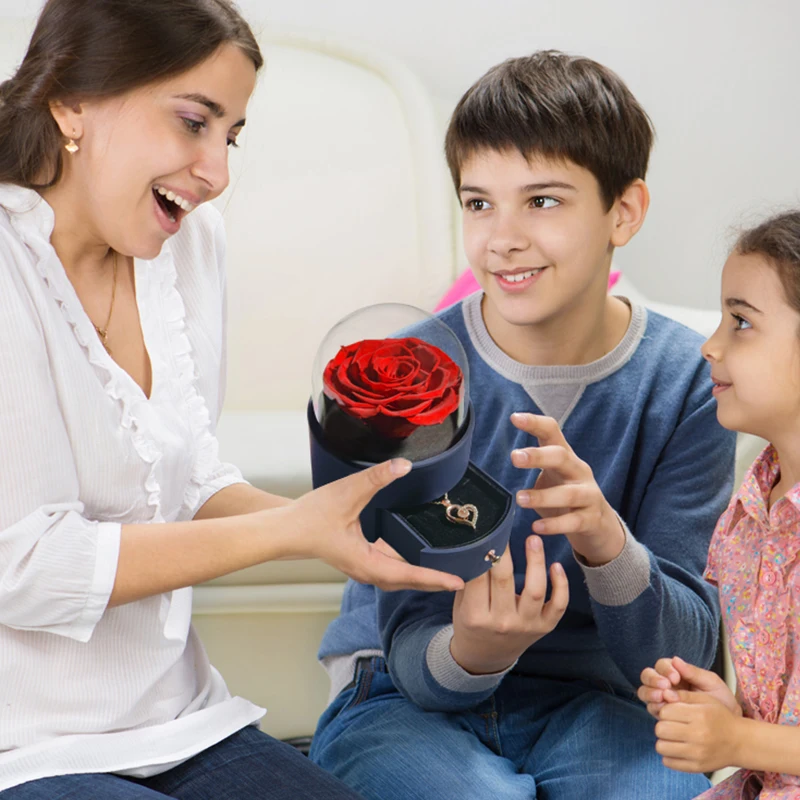 kf-Scd817d31b1b44fd29d6c737867feb5d3c