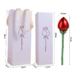 kf-S9af2a73534594ff0acc839809d4f93e6Q